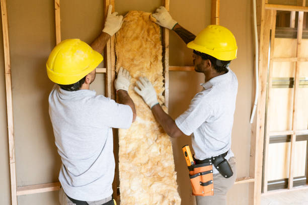 Best Basement Insulation  in Rosharon, TX